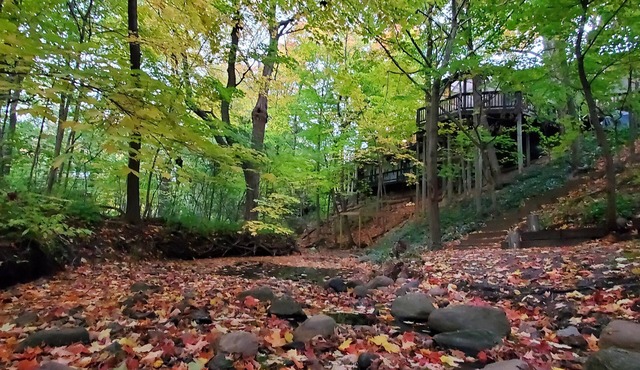 Wisconsin Treehouse Getaway!