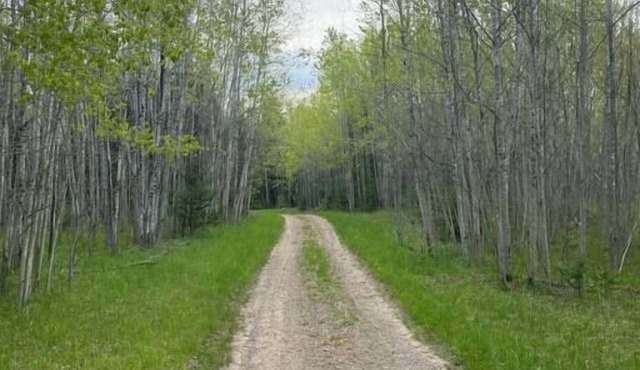Your own private deep woods experience