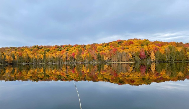 Your own private lake with lodge! Sleeps 24 people. Lots of parking.