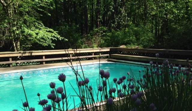 Your Pool Party is Calling