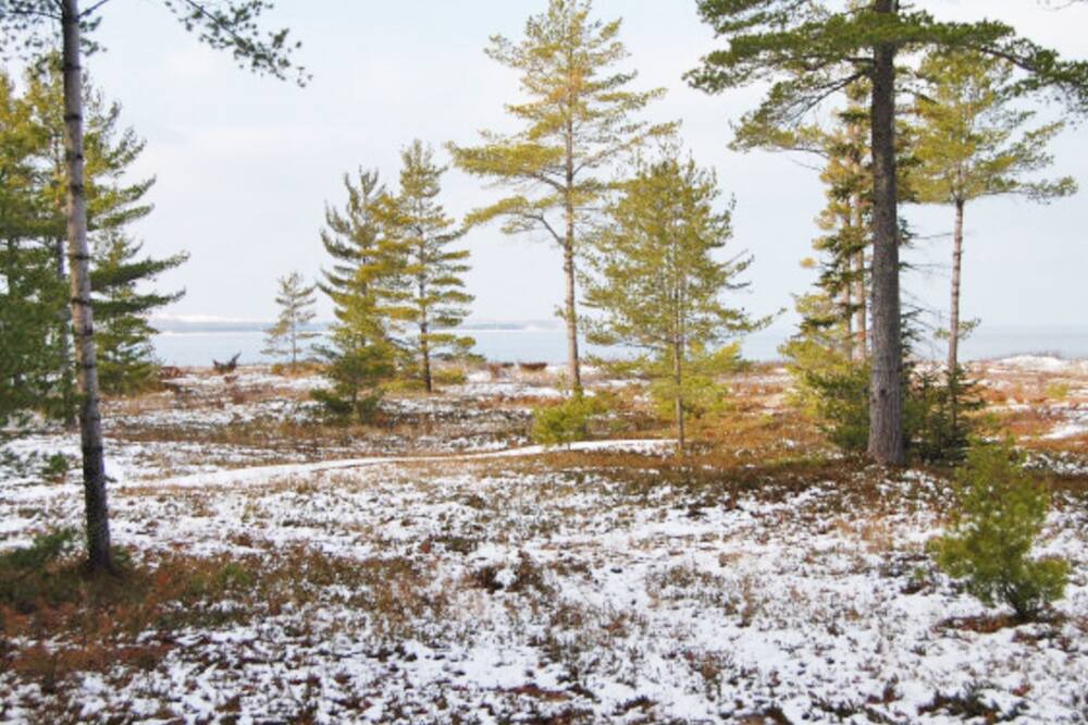 Photo of Others in Glen Arbor