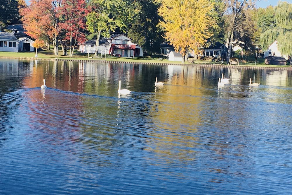 Photo of Outdoor in Orleans