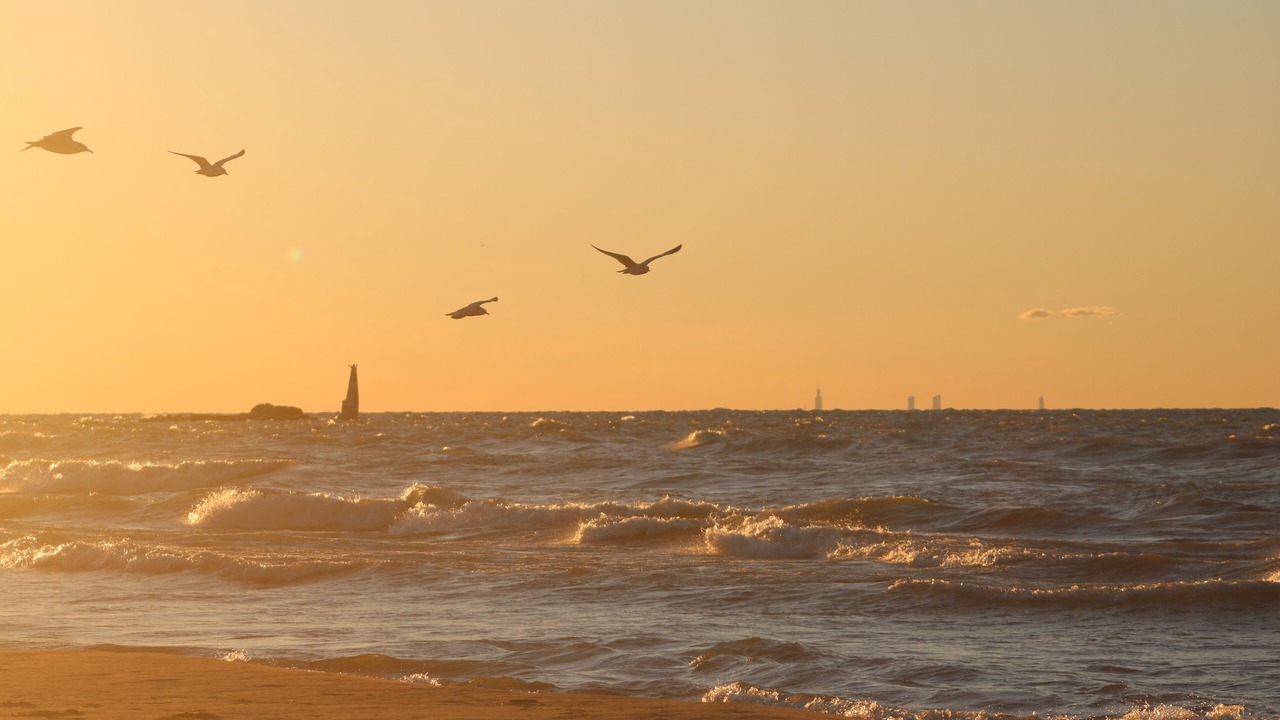 Photo of Others in Michigan City