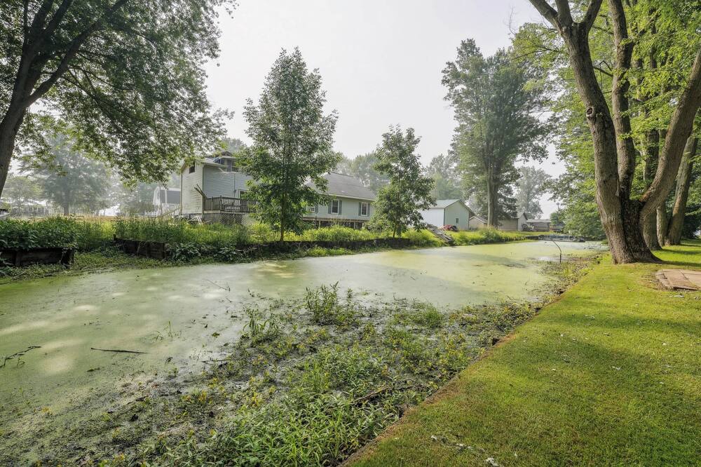Photo of Outdoor in Hastings