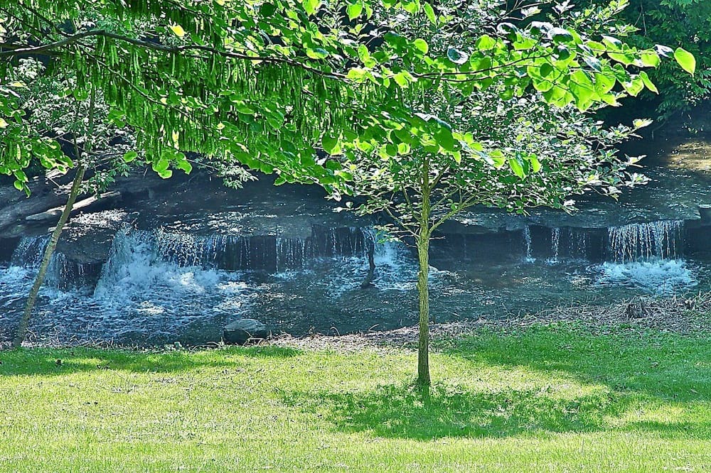 Photo of Outdoor in Bellmore