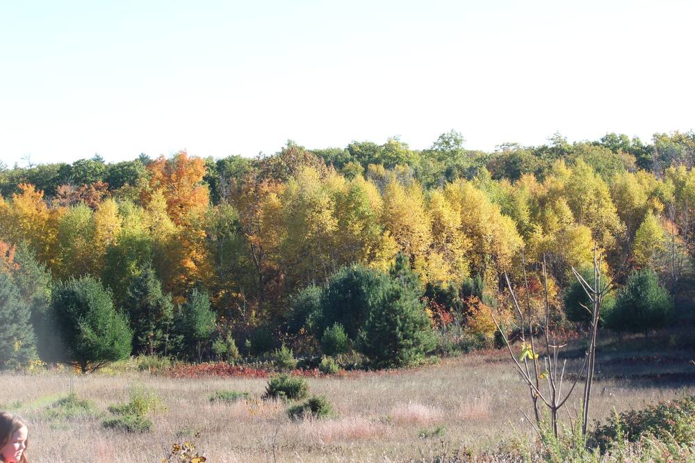 Photo of Outdoor in Athelstane