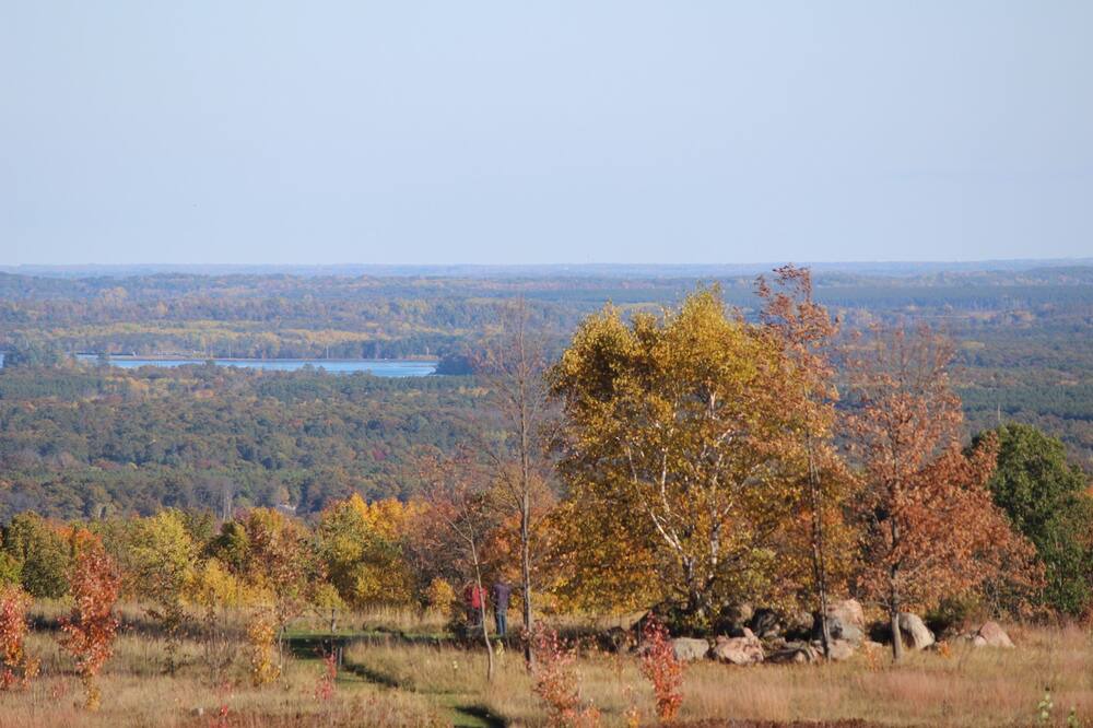 Photo of Outdoor in Athelstane