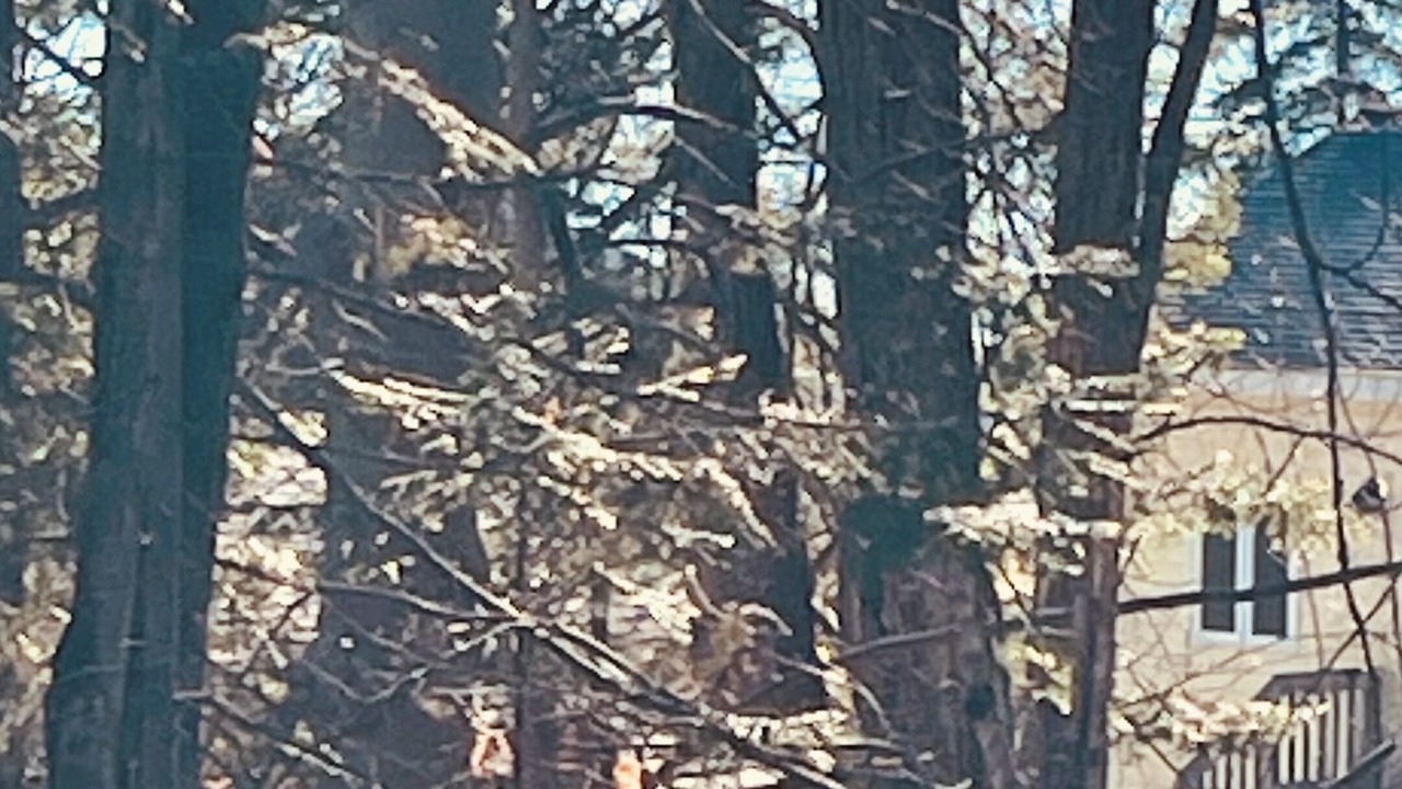 Photo of Others in Cheboygan
