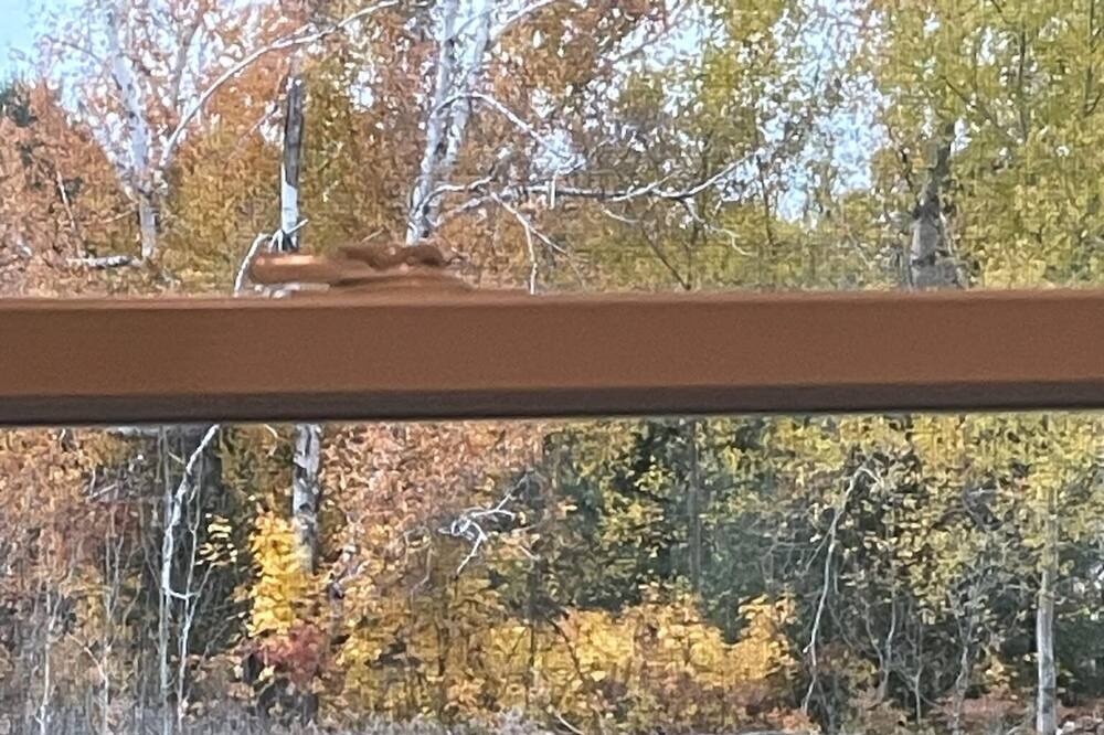 Photo of Outdoor in Barbeau