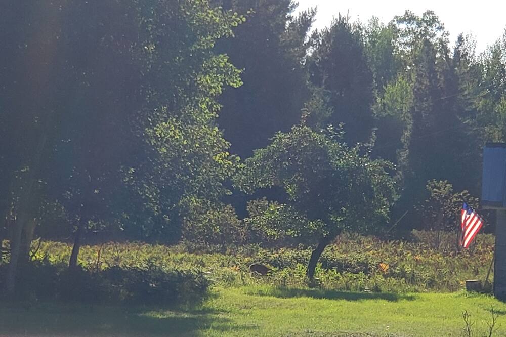 Photo of Outdoor in Barbeau
