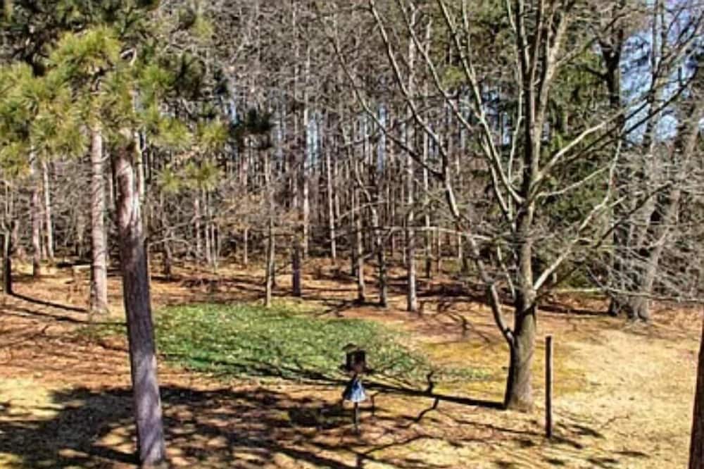Photo of Outdoor in Grand Rapids