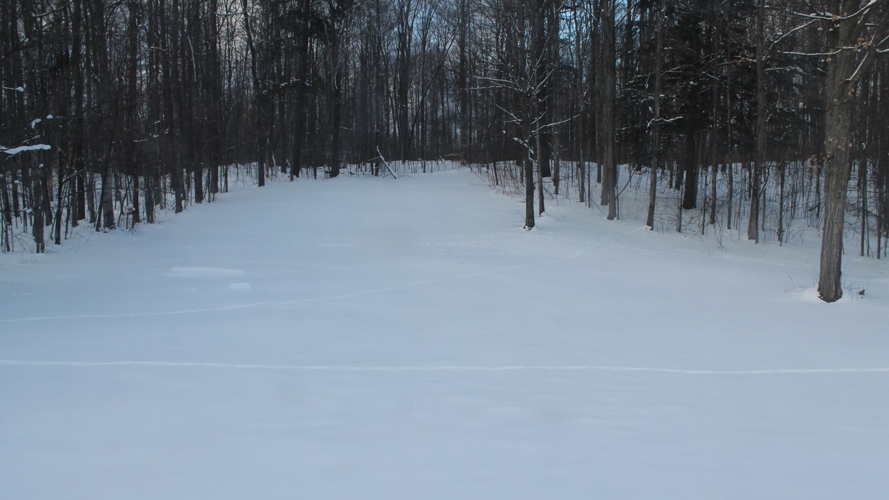 Photo of Others in Gaylord