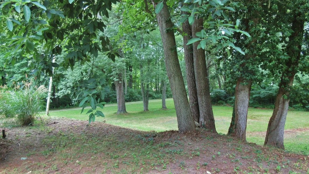 Photo of Outdoor in Michigan City