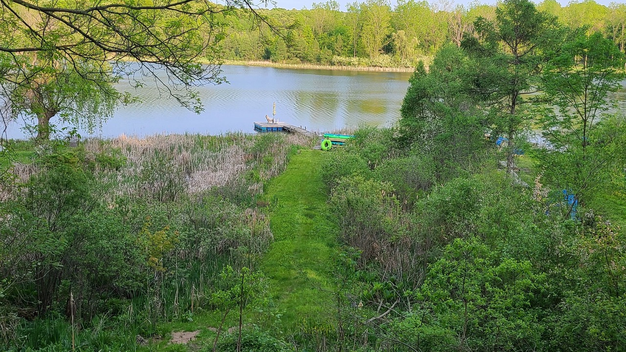 Photo of Outdoor in Delton