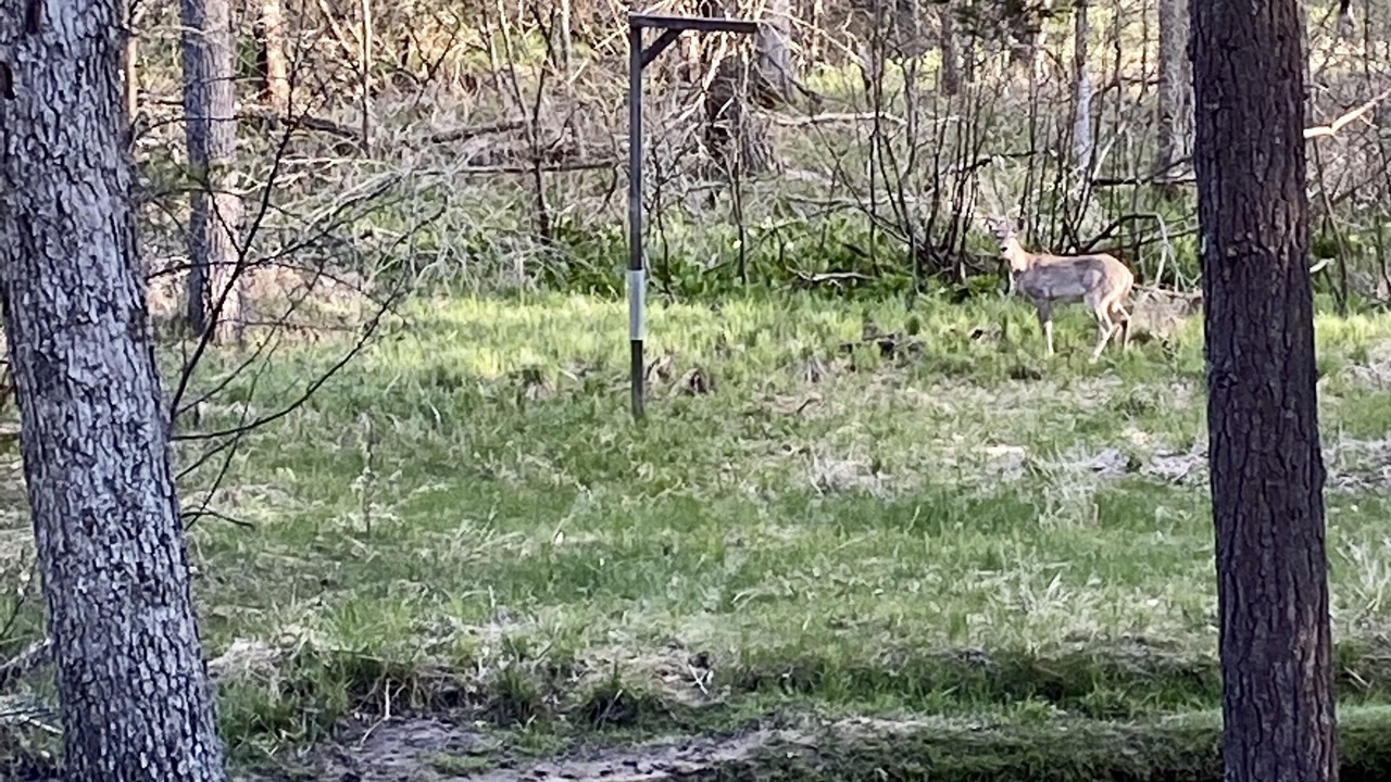 Photo of Outdoor in Baldwin