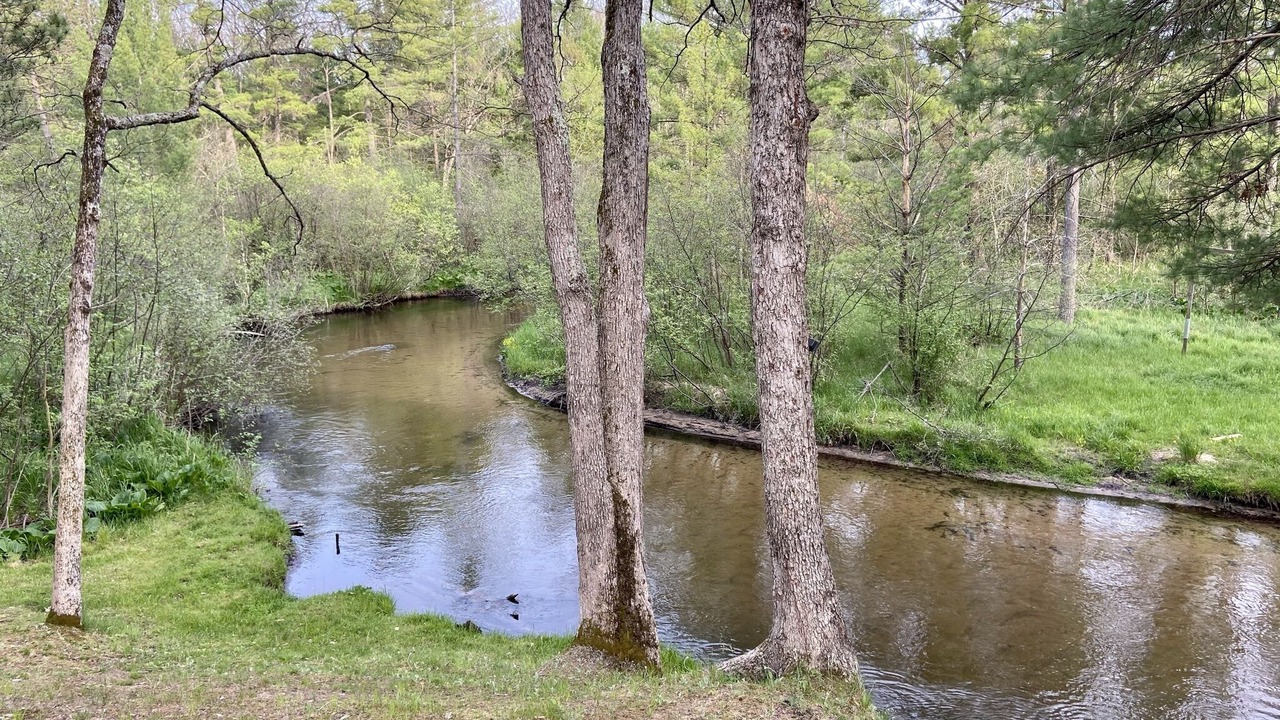 Photo of Others in Baldwin
