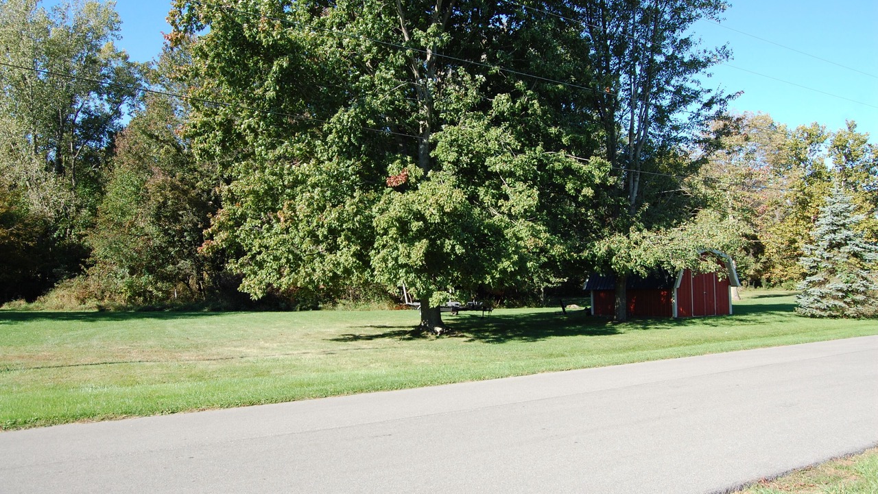 Photo of Outdoor in Silver Lake