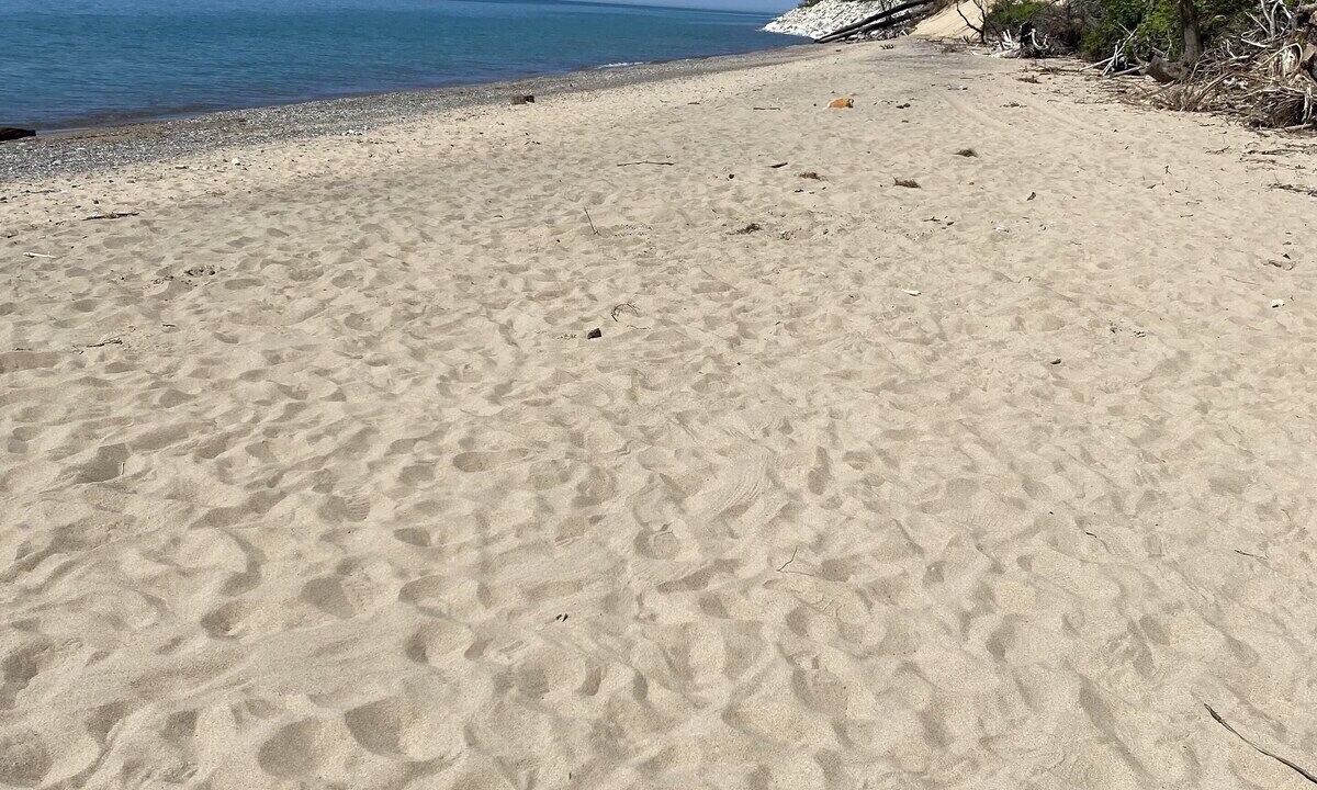 Photo of Others in Glenn Haven Shores