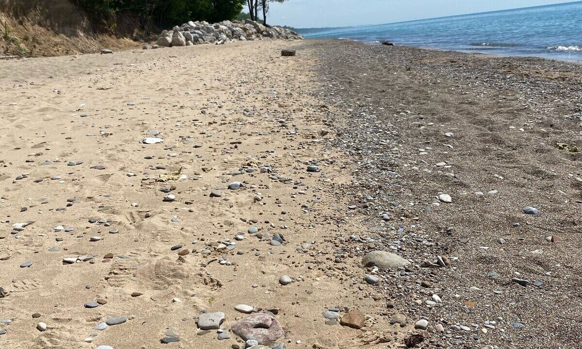 Photo of Others in Glenn Haven Shores