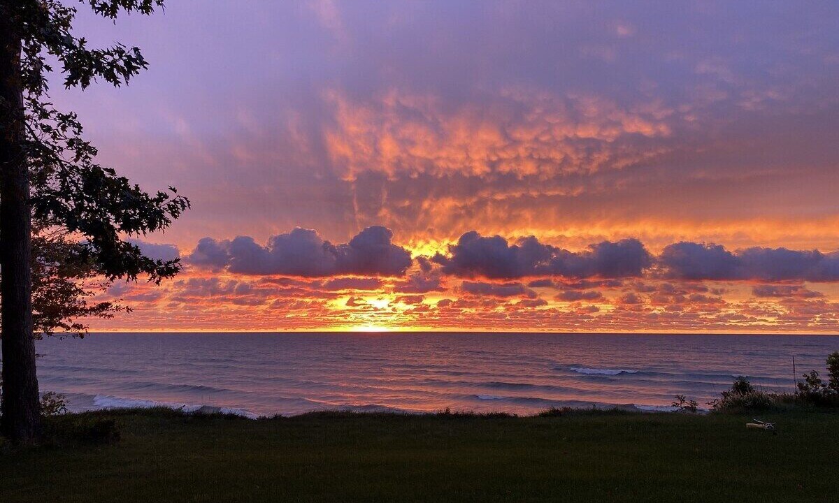Photo of Others in Glenn Haven Shores