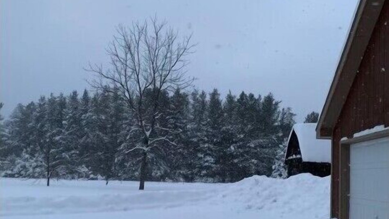Photo of Outdoor in Newberry