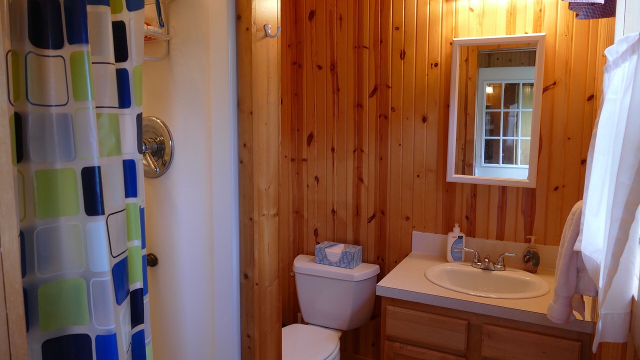 Photo of Bathroom in Grant