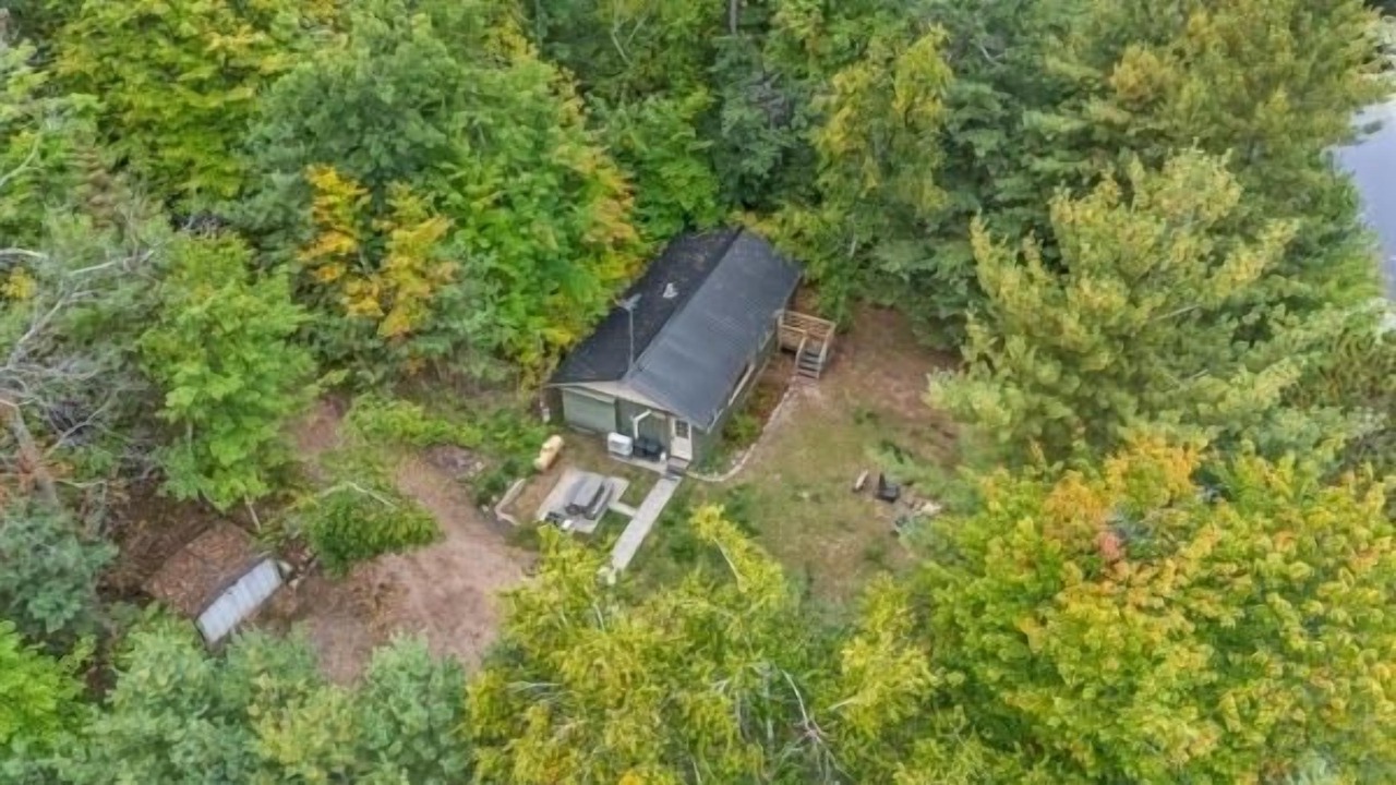 Photo of Outdoor in Athelstane