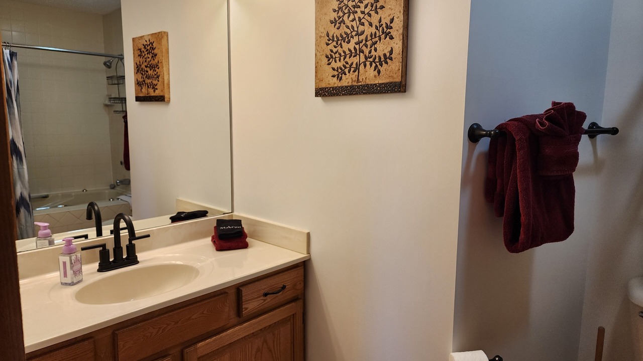 Photo of Bathroom in Mancelona