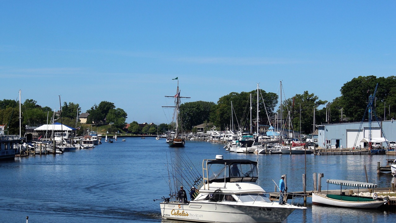 Photo of Others in South Haven