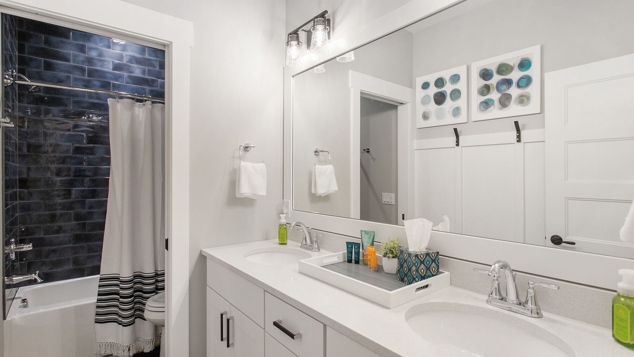 Photo of Bathroom in Allegan County