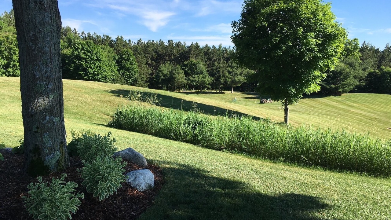 Photo of Outdoor in Honor