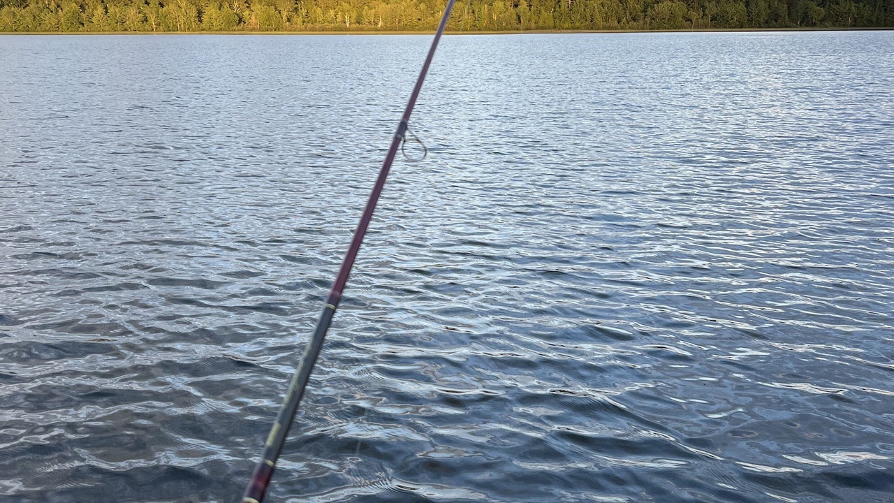 Photo of Others in Three Lakes