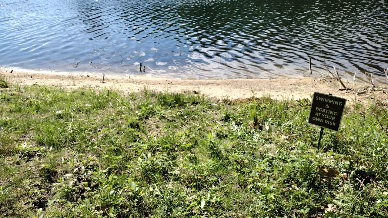 Photo of Others in Lake Arrowhead