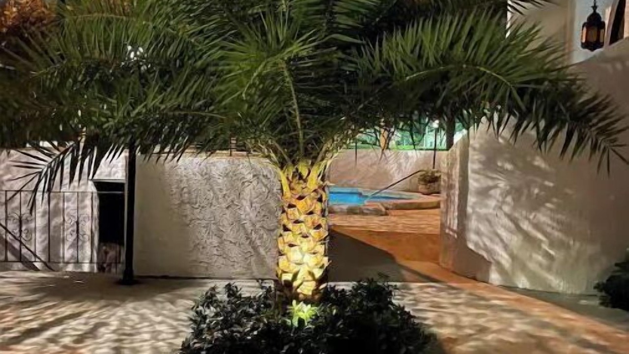 Photo of Outdoor in Miami Shores