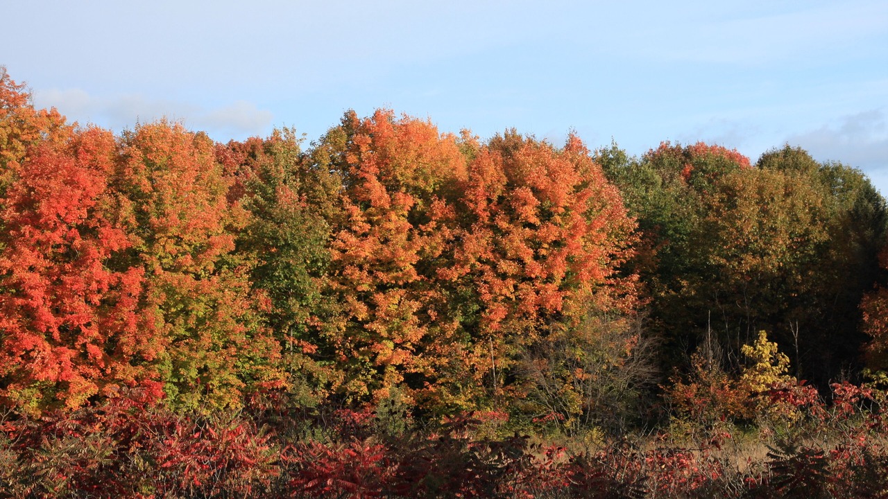 Photo of Outdoor in Lake Leelanau