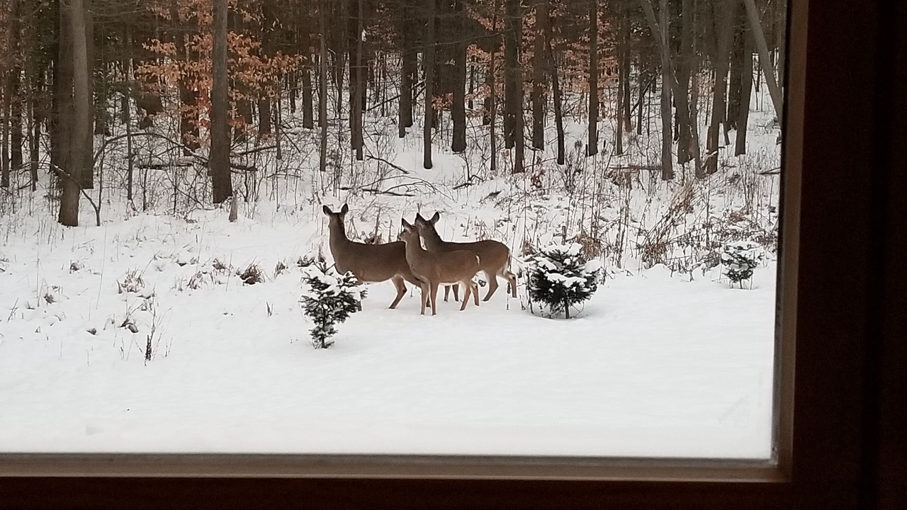 Photo of Others in West Olive