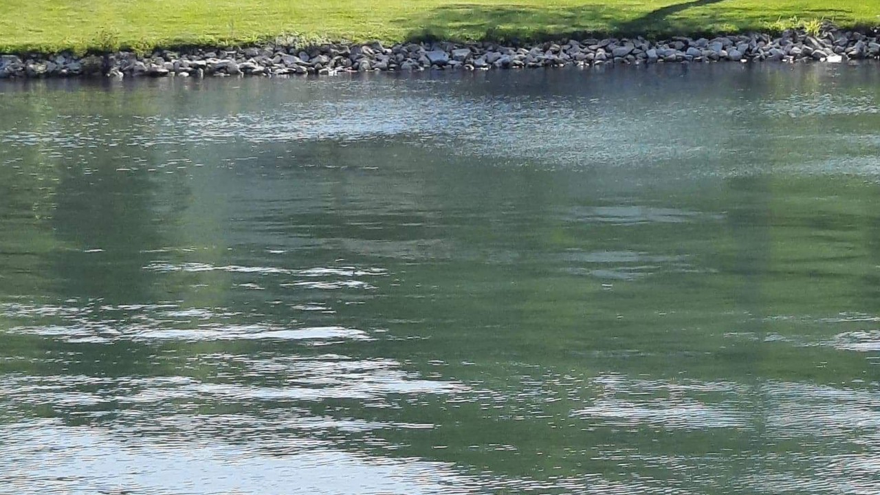 Photo of Outdoor in Barbeau
