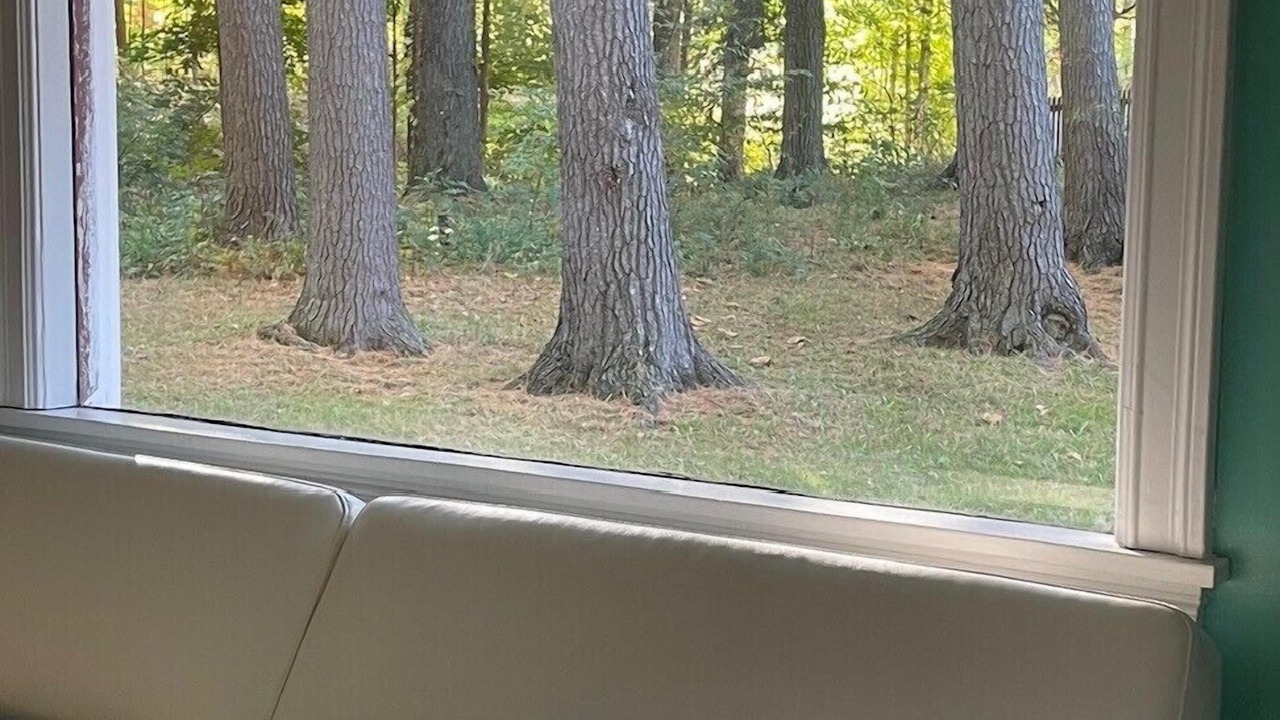 Photo of Others in Delton
