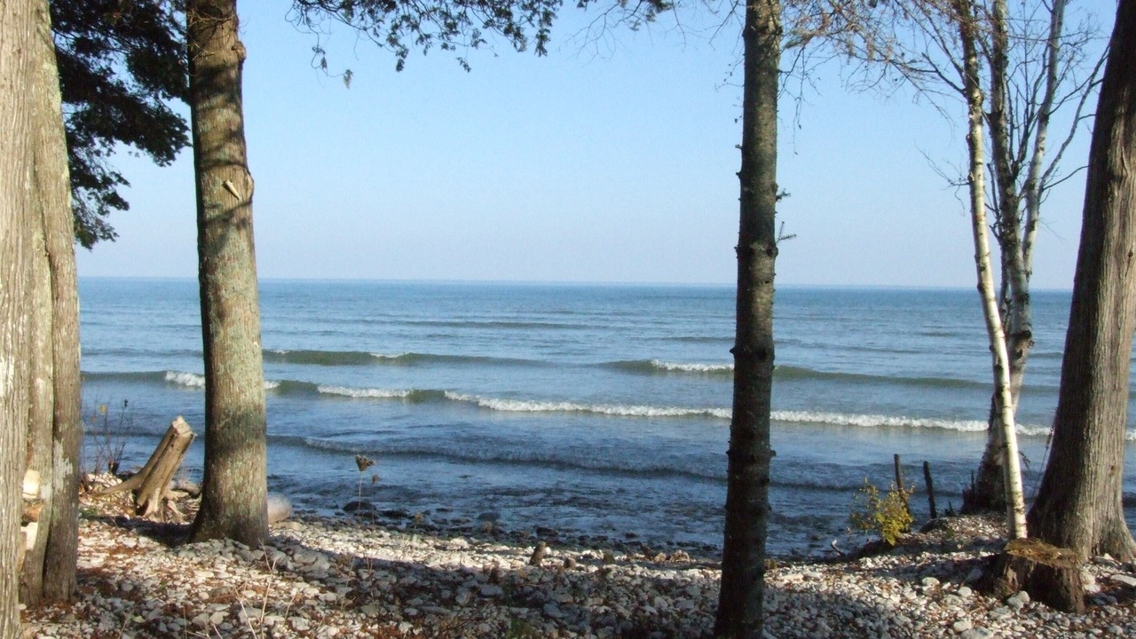 Photo of Others in Sister Bay