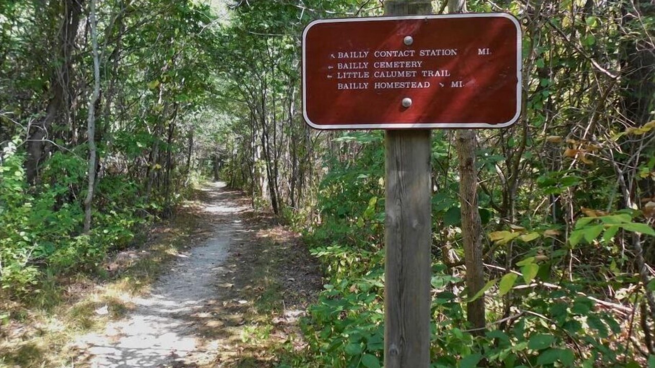 Photo of Outdoor in Porter