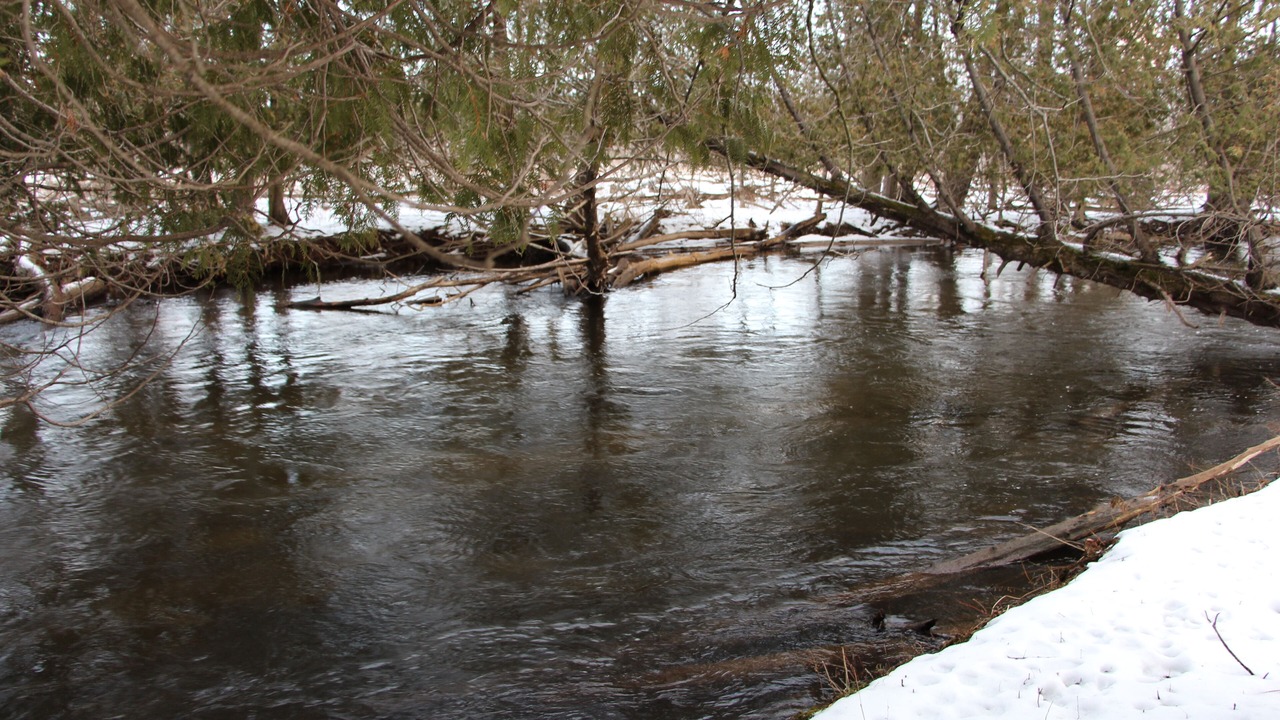 Photo of Outdoor in Indian River