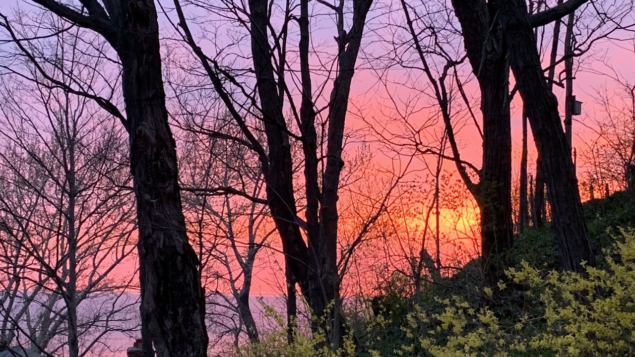 Photo of Outdoor in Macatawa