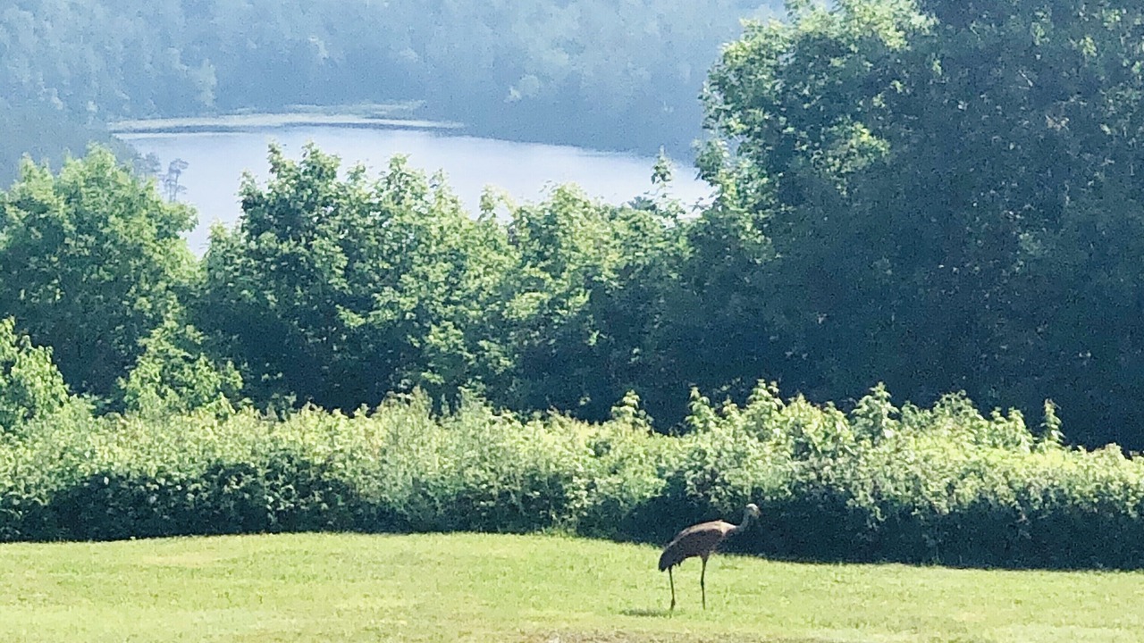 Photo of Others in Deerton