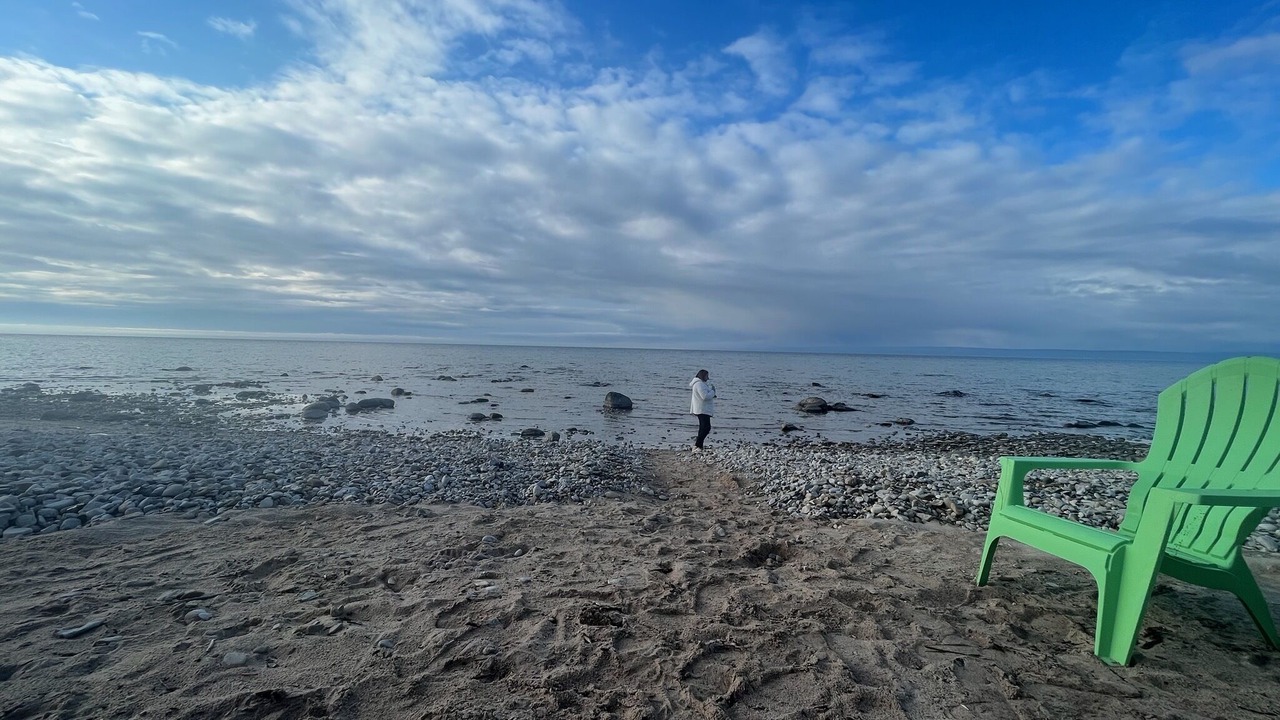 Photo of Others in Bay Shore