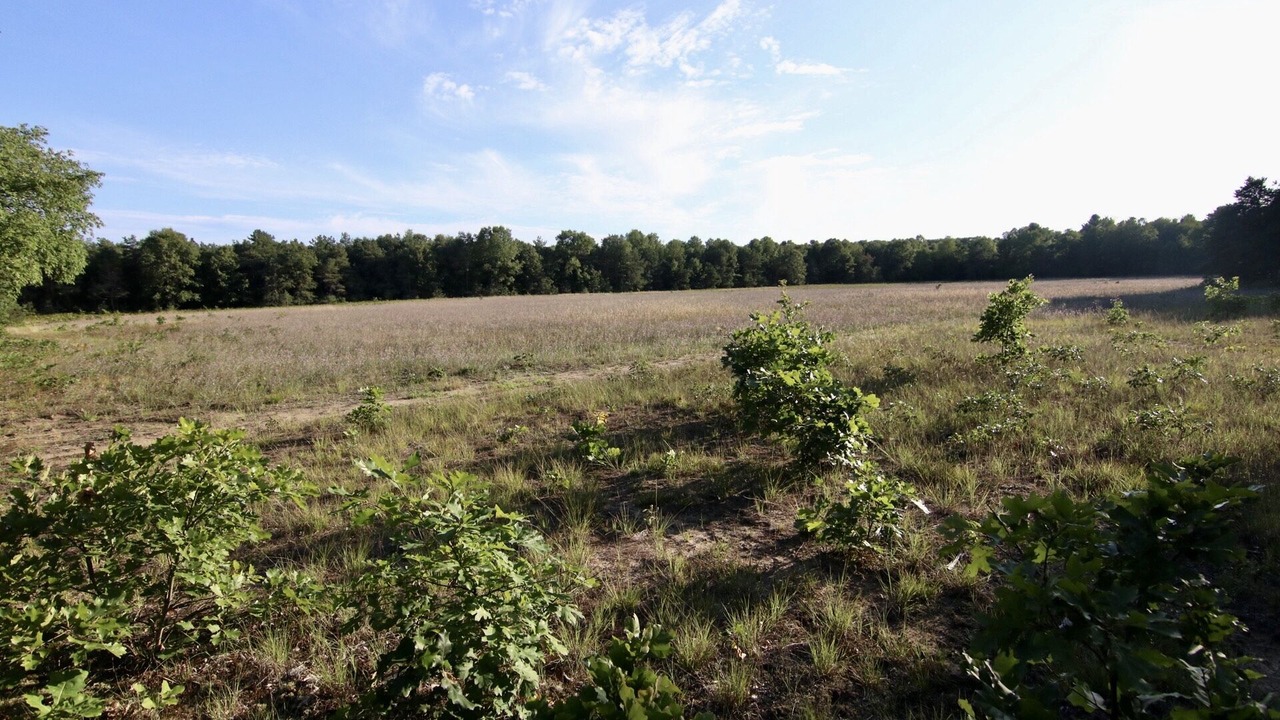 Photo of Outdoor in Montague