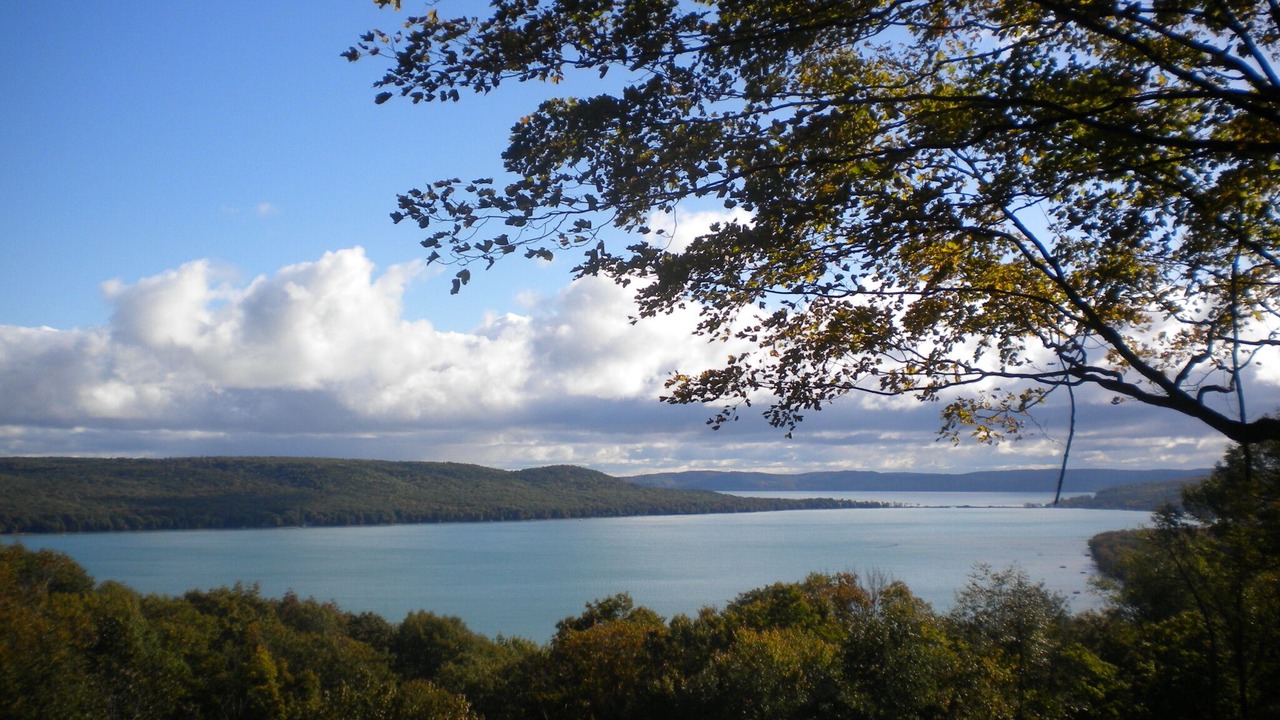 Photo of Outdoor in Maple City