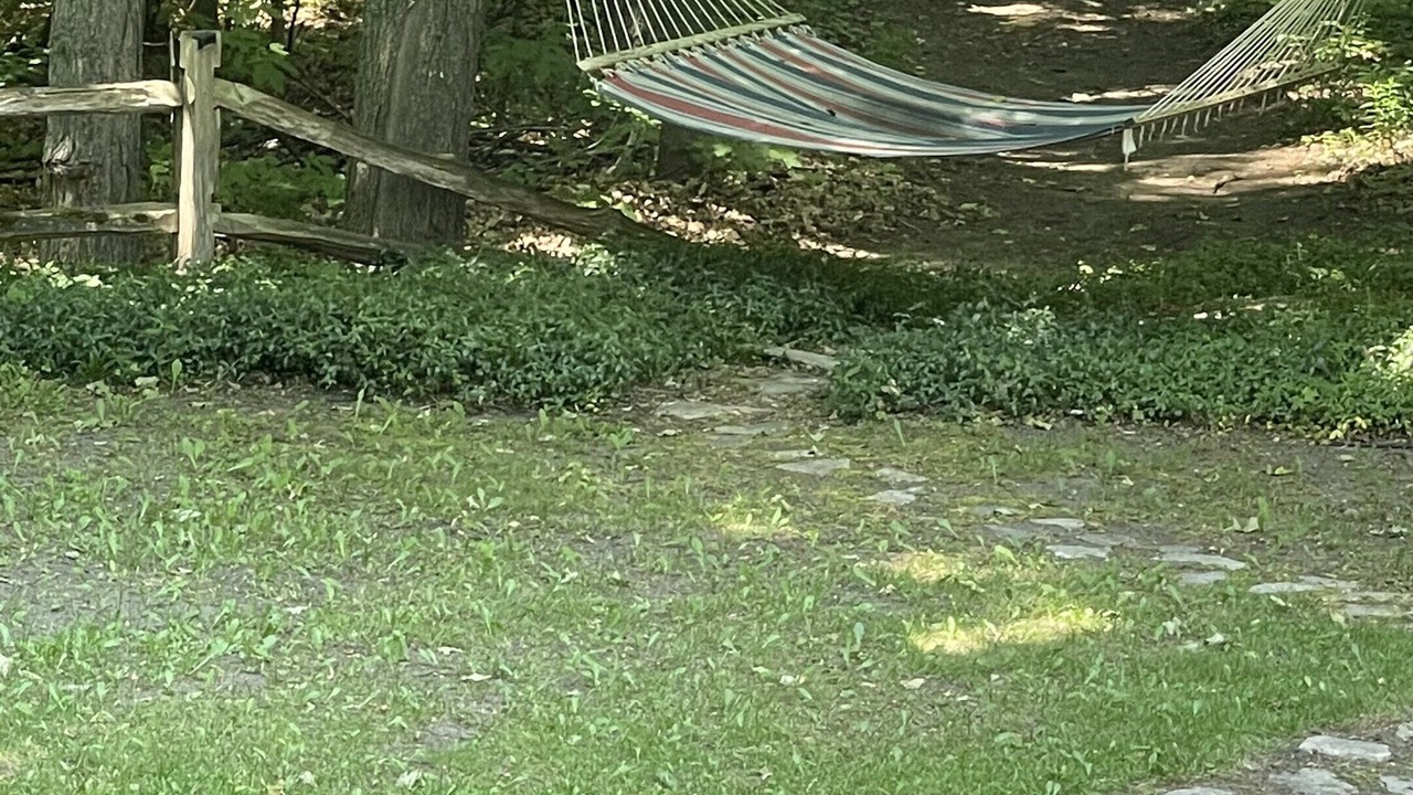 Photo of Outdoor in Williamsburg