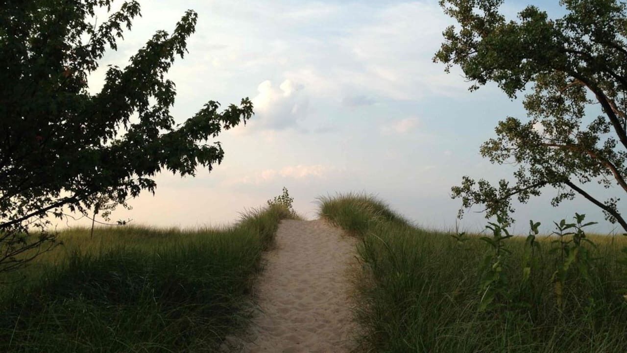 Photo of Others in Miller Beach