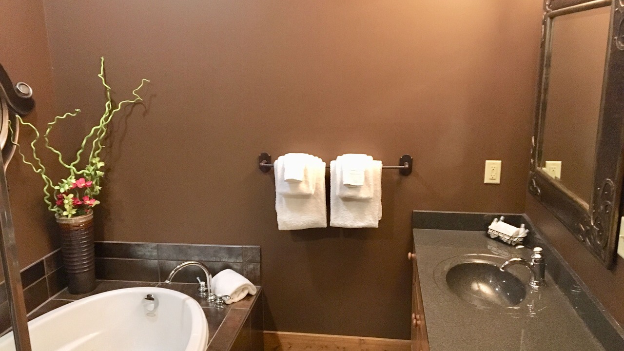 Photo of Bathroom in Boyne City