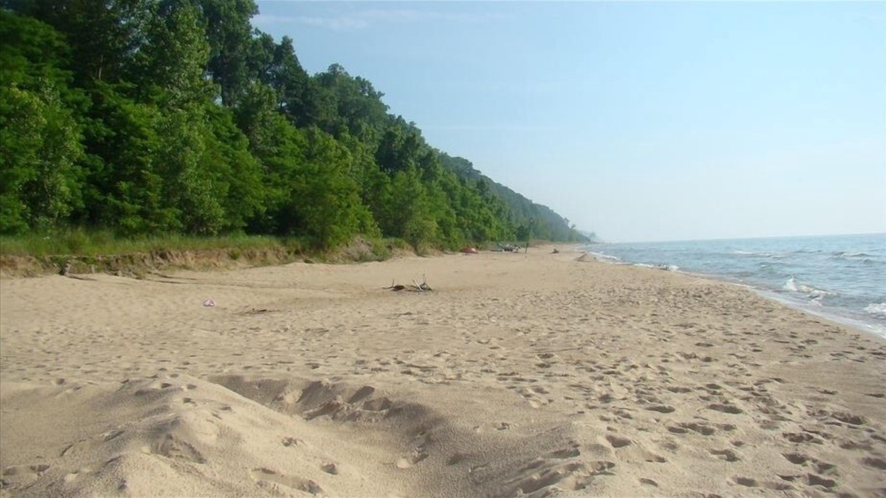 Photo of Others in Lake Michigan Beach